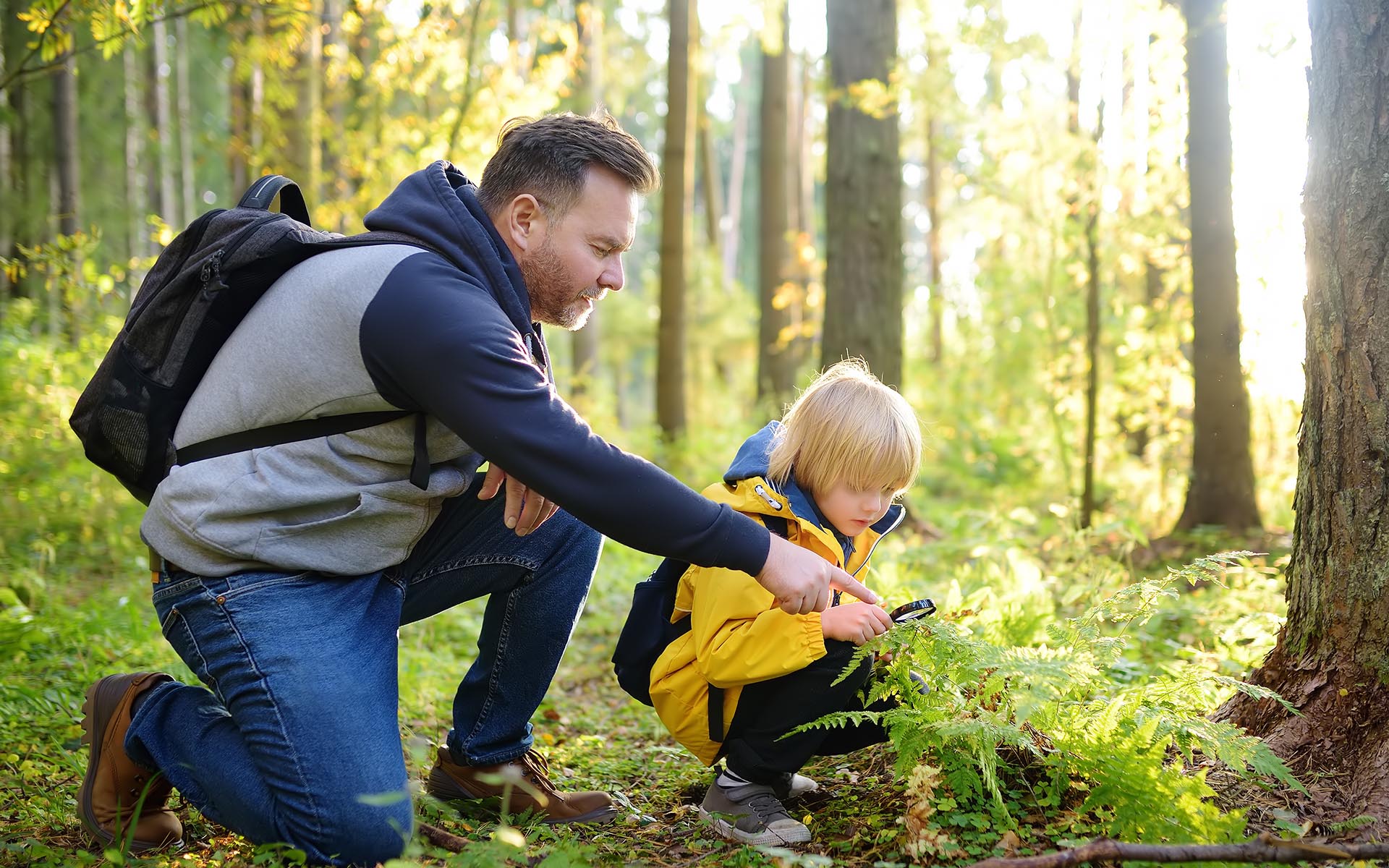 NatureGuard insurance for nature schools.