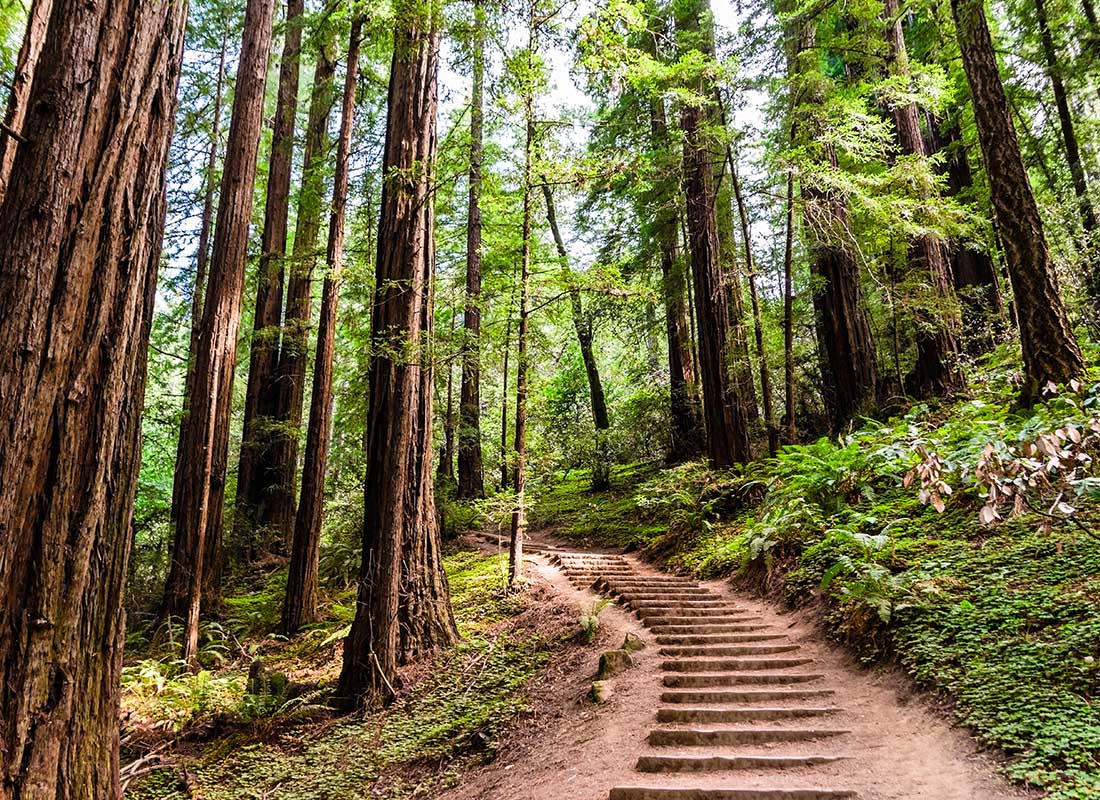 Finished restored trail in a preserved area, enabled by Conservation United's 2025 surety bonds