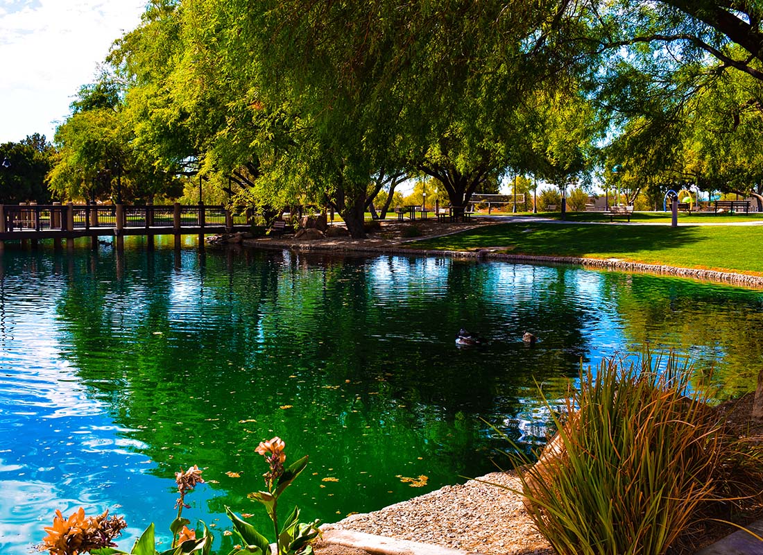 Gilbert, AZ - Park View of Pond, Trees, Dock and Flowers on Perfect Spring Day in Gilbert, AZ