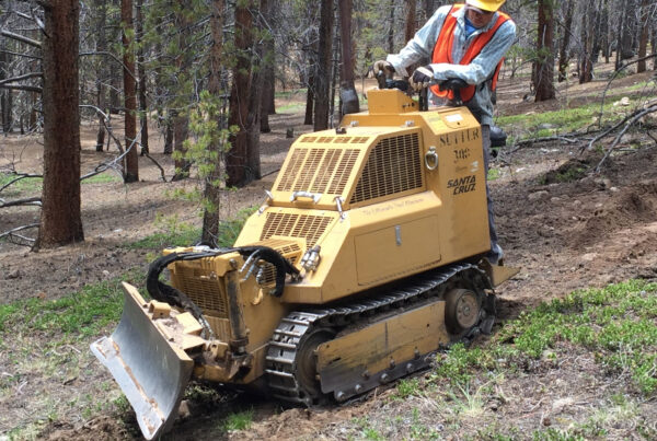 Conservation volunteer constructing a forest trail using tools