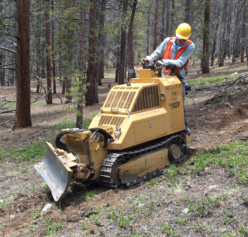 Conservation volunteer constructing a forest trail using tools