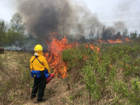 Prescribed burn insurance by Conservation United