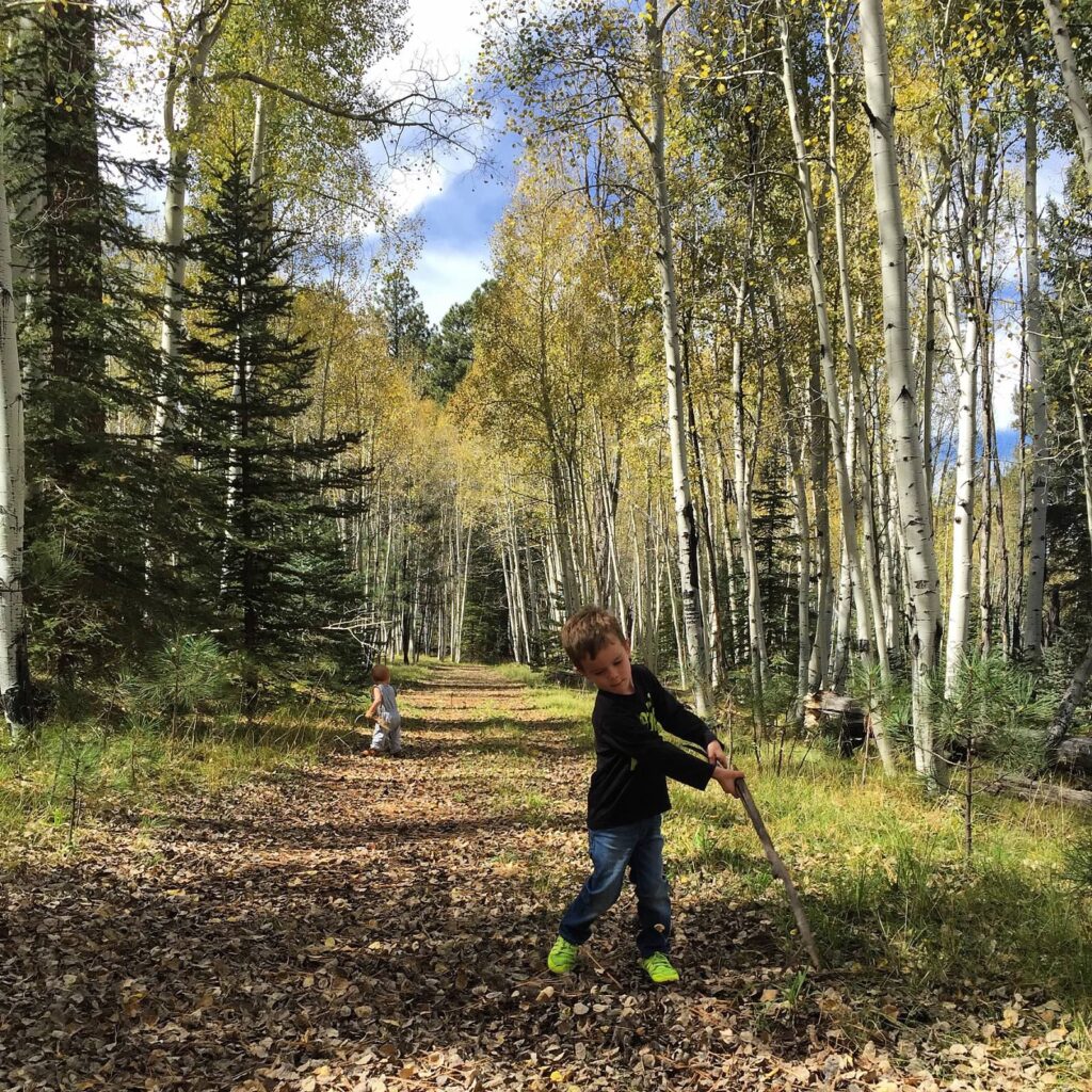 A child discovering nature in a lush forest setting, highlighting safe outdoor education