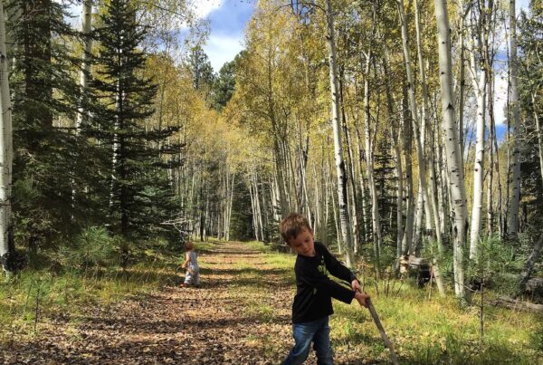 A child discovering nature in a lush forest setting, highlighting safe outdoor education