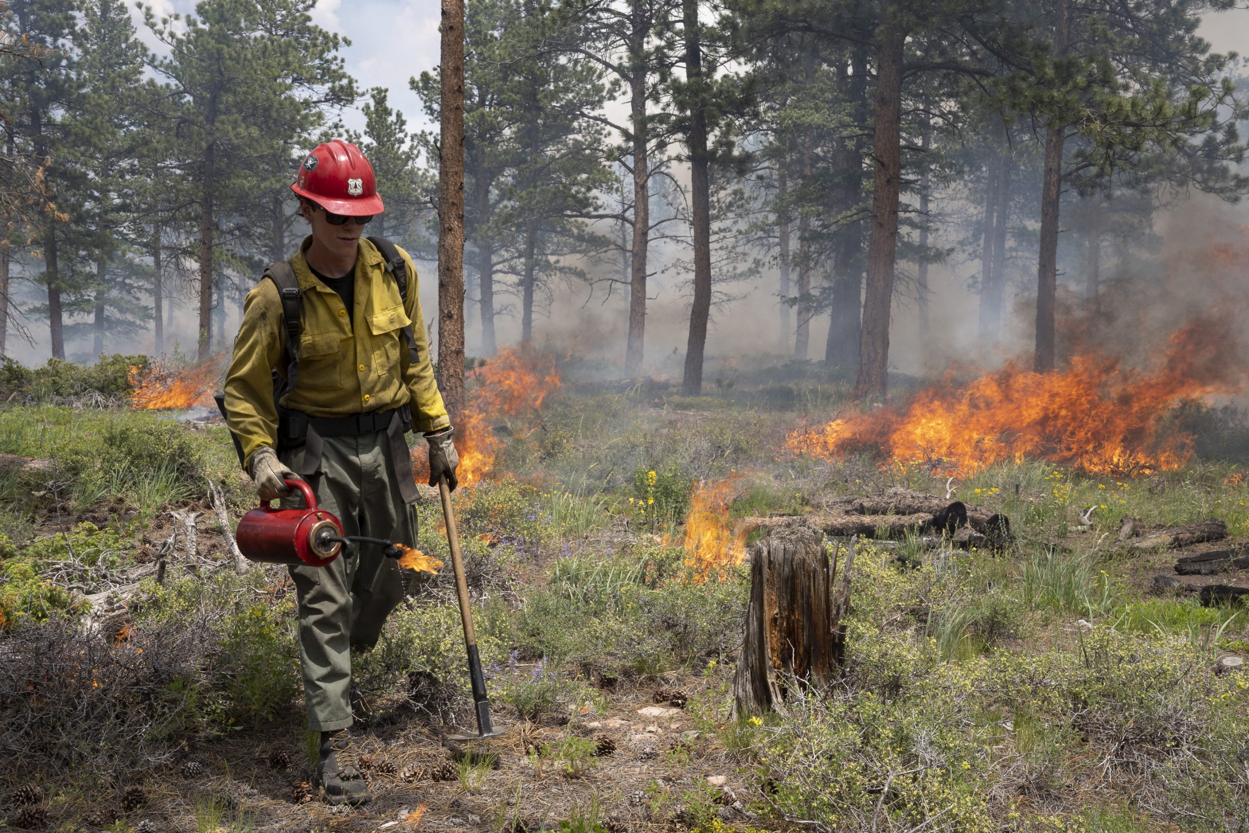 Professionals conducting a safe prescribed fire in a wooded area to promote habitat health