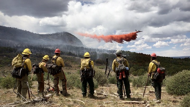 Introducing a Specialized Insurance Program for Wildland Firefighting ...