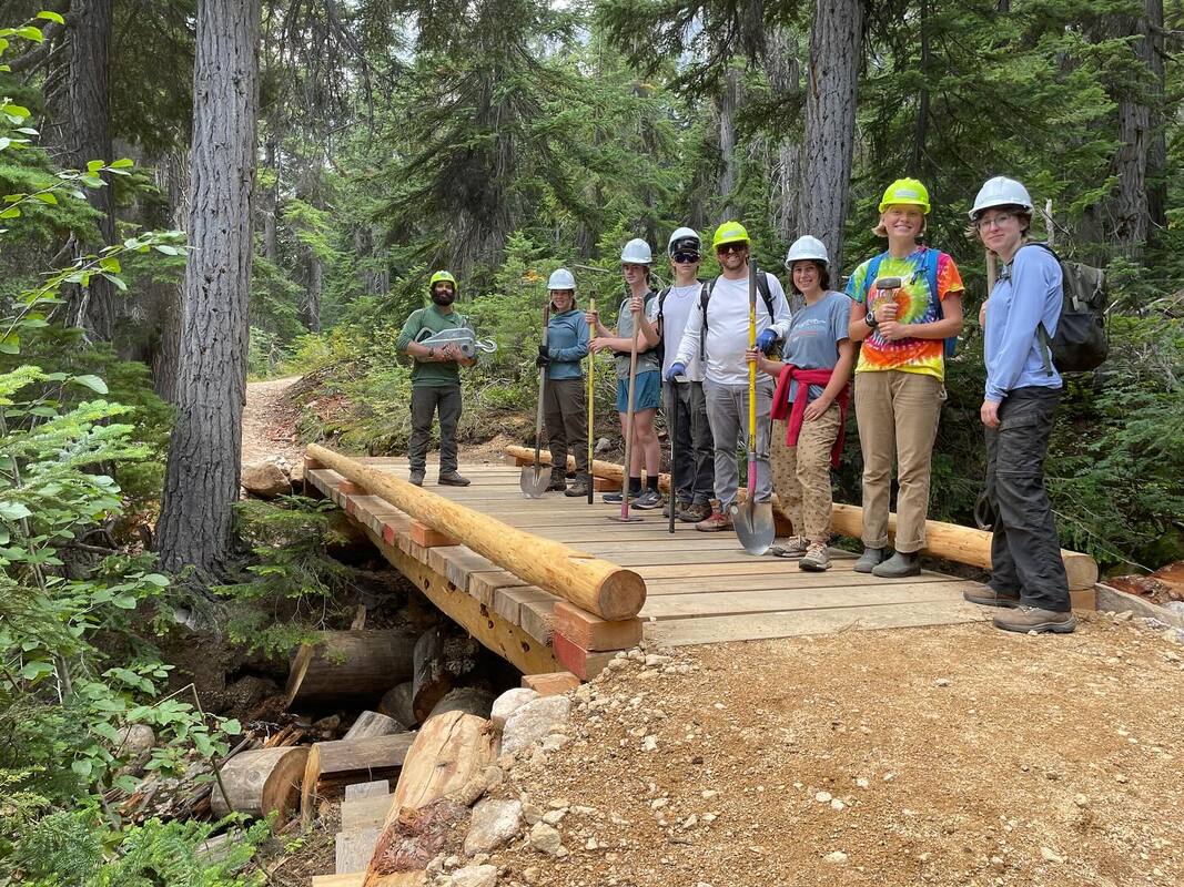 Image of construction workers creating an eco-friendly hiking trail in a forested area, protected by Conservation United surety bonds