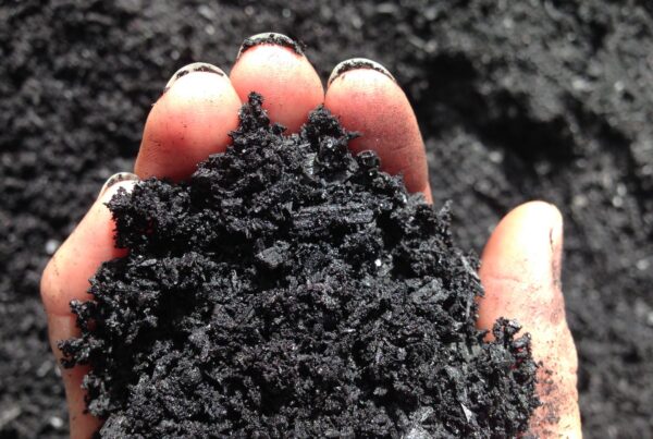 Farmer spreading biochar on fields to improve soil health and sequester carbon