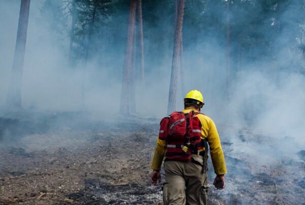 Conservation practitioner overseeing a prescribed burn with safety gear