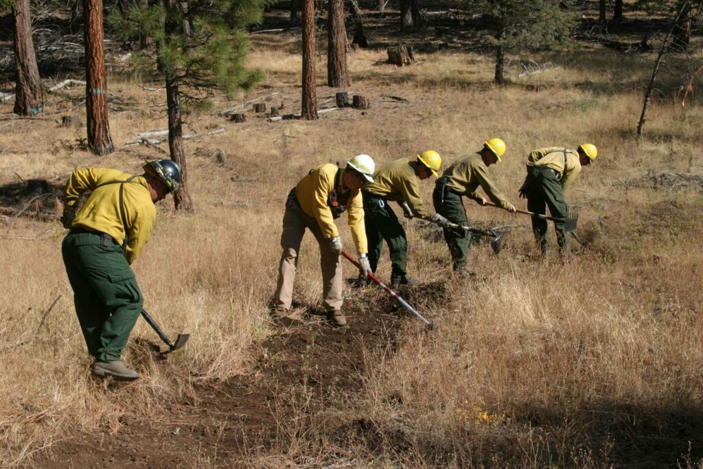 A team conducting a safe prescribed fire in a forested area to reduce wildfire risks