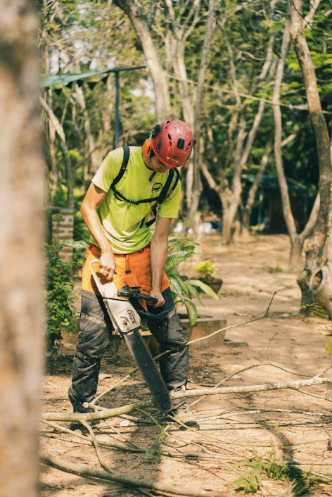Group of trail stewardship volunteers working on a forested path with tools