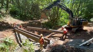 Construction team working on a sustainable trail bridge amid natural surroundings