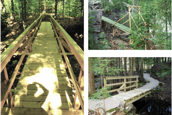 Team constructing a climate-resilient trail bridge with tools and safety measures