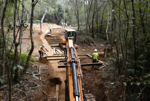 Surety bonds for trail construction projects – workers building sustainable path with Conservation United protection