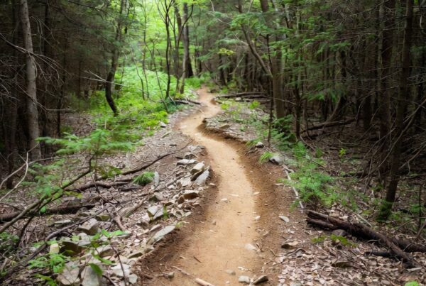 Hiker on a beautifully layered rock formation trail in a desert landscape