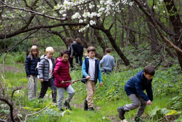 children exploring blooming forest during spring nature school program covered by NatureGuard insurance from Conservation United