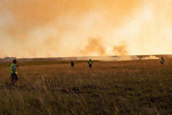 Nonprofit conservation organization using Conservation United prescribed fire insurance during a habitat restoration burn