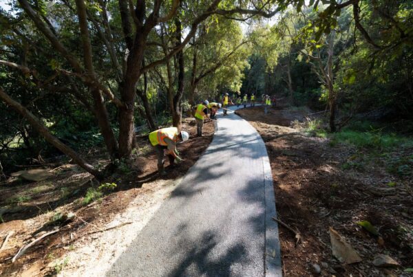 Workers constructing eco-friendly trail in protected forest using surety bonds from Conservation United